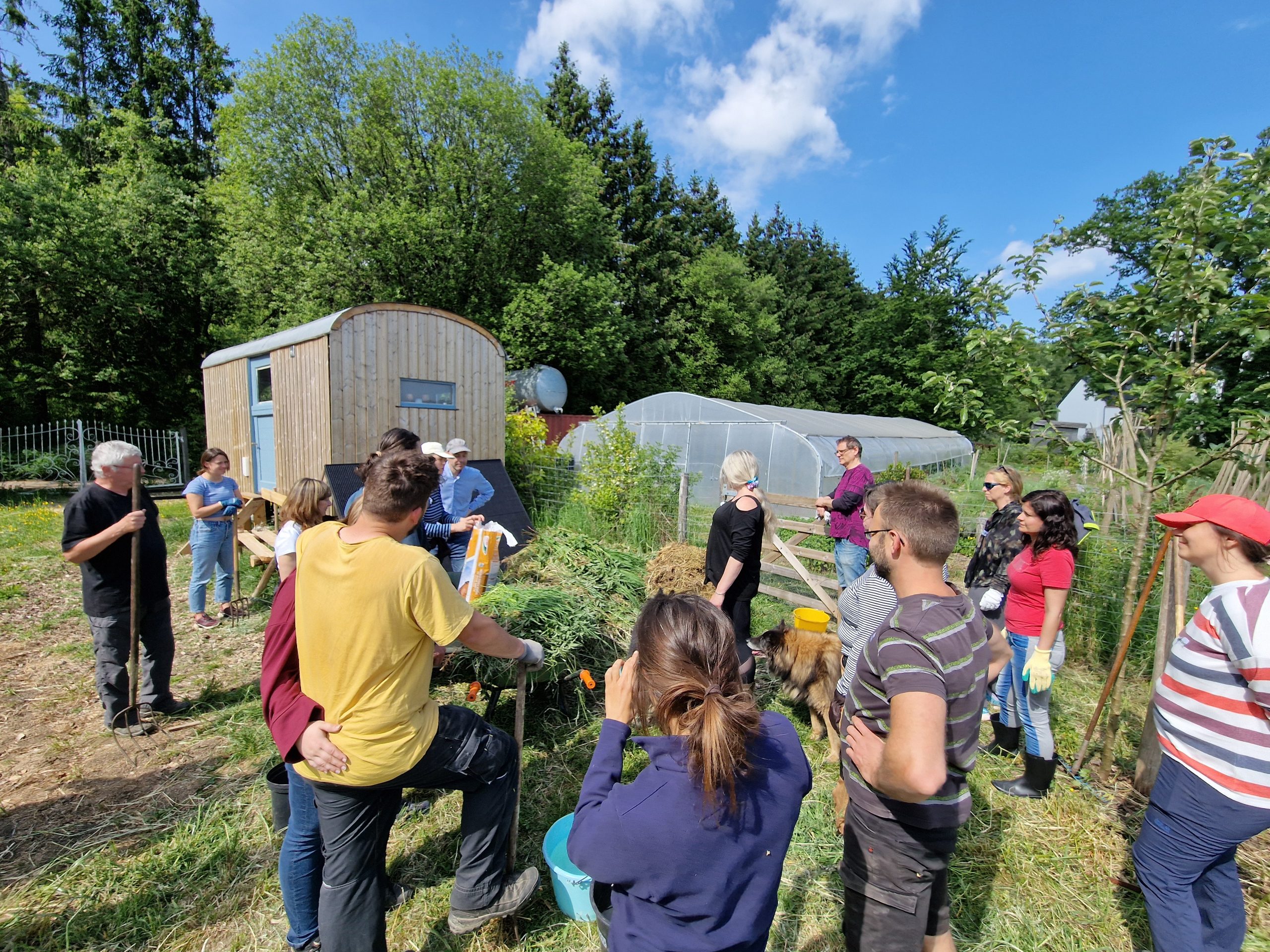Seminar „Einführung in die Permakultur“ am 6. & 7. Juni 2026